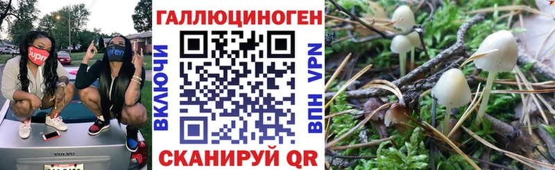 Псилоцибиновые грибы мицелий  Купить  Сольцы 